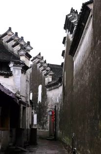 一、 古宅的谶语与血色镜像：风水与星座的交织解读