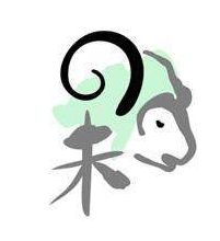 2026年属兔的人会犯太岁吗？那一年犯太岁的属相有哪些？