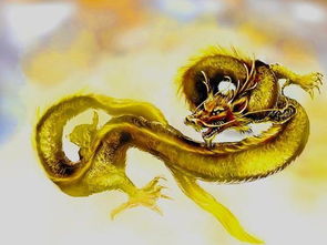 飞龙在天之格的构成要件与制约因素