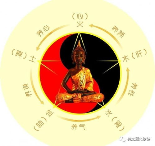 ：缺木女孩取名，一场充满玄学的冒险