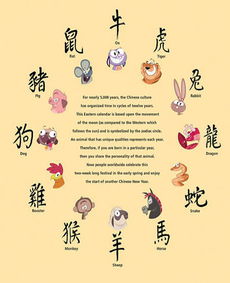 女人属什么生肖？八败命生肖月份具体指哪些月份？