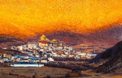 Tibet 香格里拉（云南）?? 高原上的狂热赤焰！