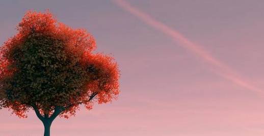 天蝎座男生为何对水瓶座女生情有独钟？