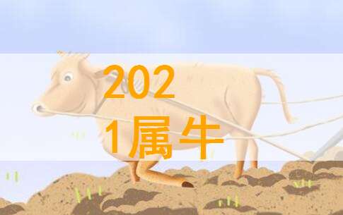 1.2 当代视角：数据背后的意义