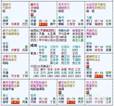 五、 星曜组合实例分析