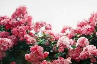 女人八字里哪些特征容易吸引男人给钱花？