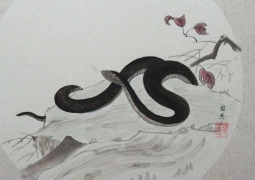 二、 相合、相冲及贵人关系之系统分析