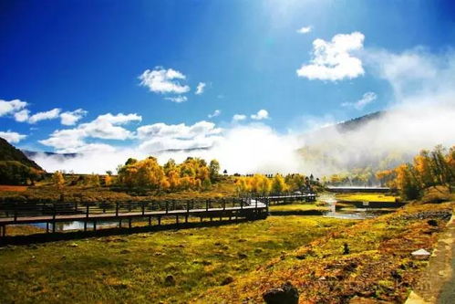 北京夏天：热浪中的清凉逃脱