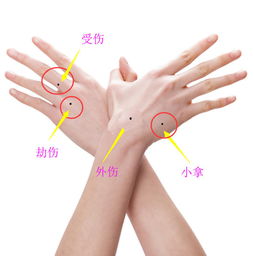 四、 职业倾向性分析