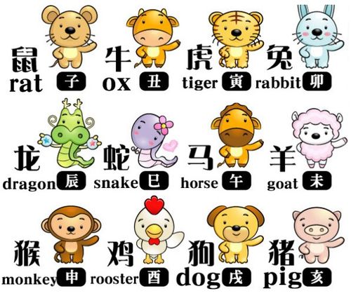 34年或34岁的人究竟对应哪个生肖，最准确的属相是什么？