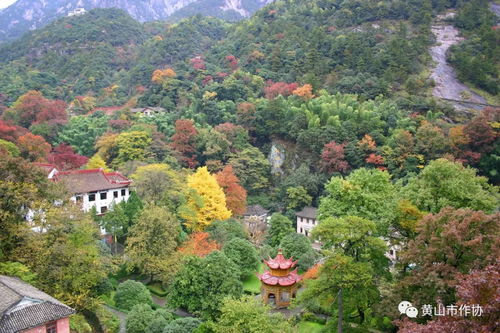 那些不嫩错过的宝藏景点汇总