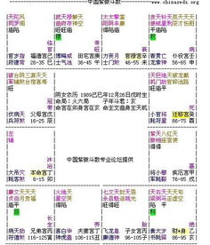 (三) 辅助判断要素——跨宫位交互作用探究
 本一部分内容基于《五行全书》卷二十八所述“五行通变”原理展开*