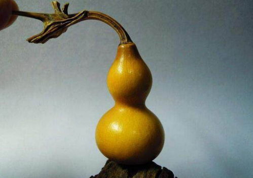 葫芦：福禄双全、 平安健康的象征