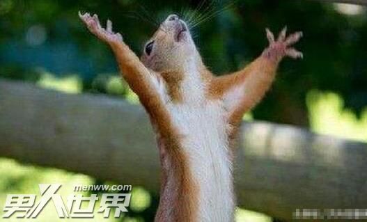 将乞丐打一生肖动物是什么意思？梅花三弄打一生肖动物是什么意思？