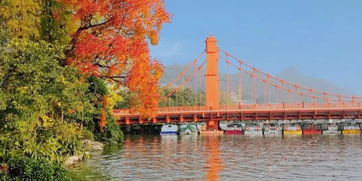 榕湖风景区：照片和现实的差距