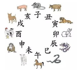 蓝代表什么生肖？双蓝生肖最正确答案是什么意思？