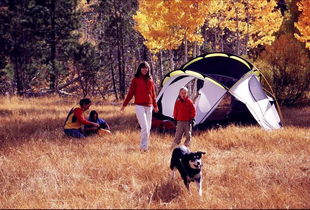 3) 野营—与自然亲密接触（或着被蚊子咬成小红点）