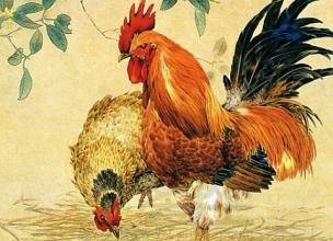 属鸡女2026年贵人生肖属什么，2026年属鸡的贵人是什么生肖？