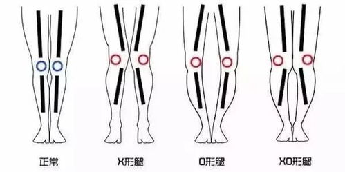 三、 婚姻关系状况不佳的原因探讨