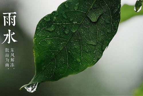 冷雨暖惊蛰——古代经验的科学阐释