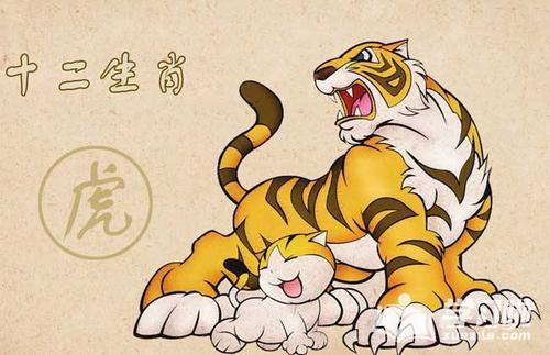 2026年属虎的人犯太岁吗，2025年属虎的招财转运物件是什么？