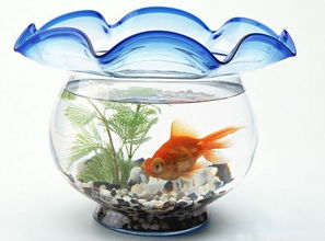 数量种类的考量：“一水通三财”及避讳