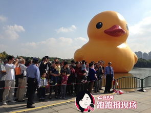 门票价格让人想跳湖