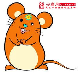 十二生肖属鼠和属兔的婚姻关系如何？