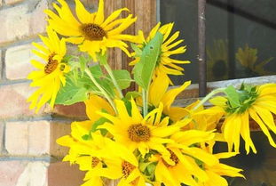 卧室镜子放置在哪些位置最旺财？