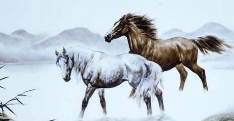 2026年属猴和属马的全年运势具体内容是什么？