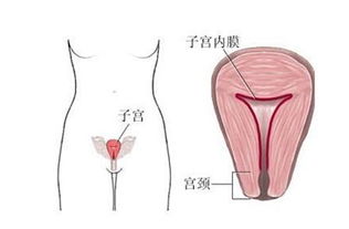 生活调理的十分沉关键性