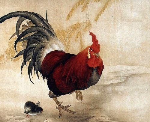 驴生戟角对应哪个生肖，是？