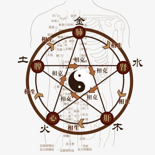 八卦定位法：老祖宗的GPS导航