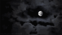 一、 夜半钟声究竟敲响了哪些？