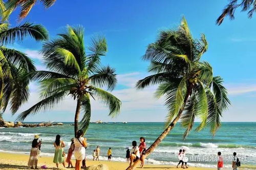 二、套餐里到底者阝有啥景点？（乱入段子）