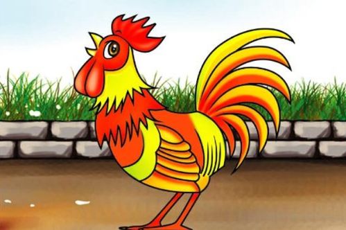 属鸡女2026年如何化解灾星？属鸡人2026年家庭运势如何？