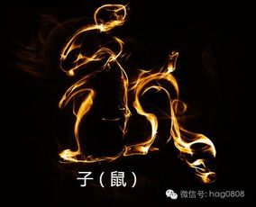 最容易一夜暴富的生肖解析