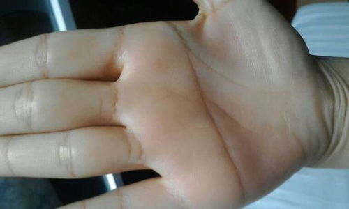 1．职业倾向与社会评价