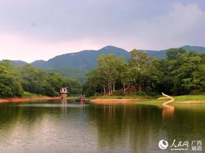 金沙湖の魔幻现实主义之旅：2026年水瓶座会被雷劈吗？