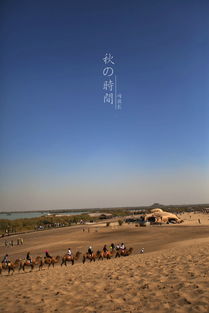 沙漠之眼： 沙湖地理位置与交通运输指南