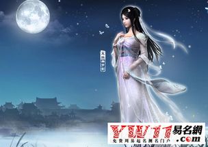 好听的古风游戏名字女生(一)：简单粗暴型