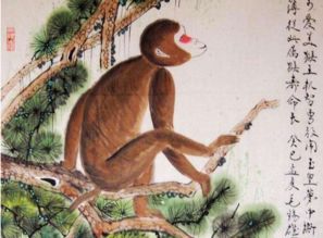 一、 属猴女性群体：聪慧伶俐且具独特个性的富有市场价格较高磁场