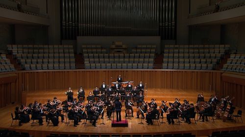 一、 溯源与奠基：学术底色与职业场域的构建