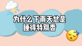 2 .1 职业持续发展路径 ：组织嵌入型稳健上升通道