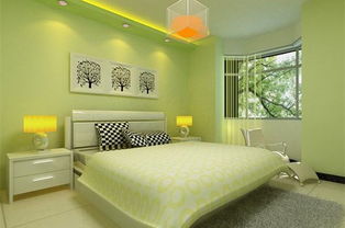 三、 风水物品摆放：营造和谐能量场