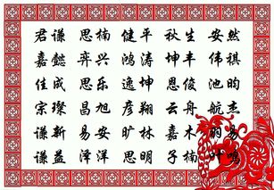 一、 选字眼：木头的生命力