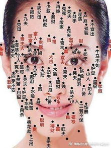 手指的具体位置与命运关联