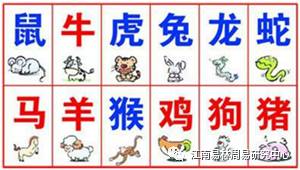 属鼠人马年冲太岁如何化解吉凶，有哪些妙招可以避免不利影响？