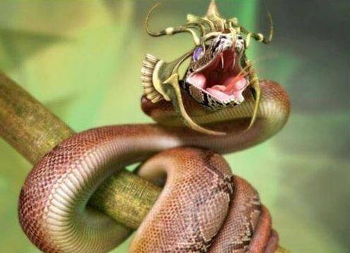 2026年属蛇的人是什么命，2026年蛇的命具体含义是什么？