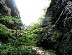 开什么玩笑！我终于来大裂谷了！